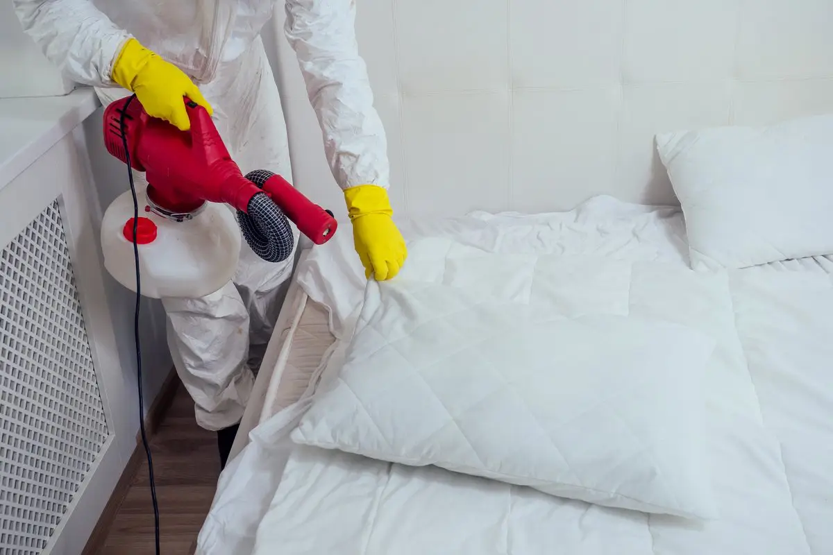 Bedbug-Control services in uae