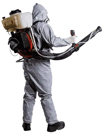 Fumigation service Duibai